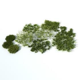 Grass vol2